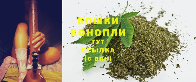 Конопля OG Kush  Карачев 